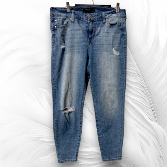 Truth + Theory Petite Light Wash Distressed Skinny Jeans Size 10P - Picture 2 of 6